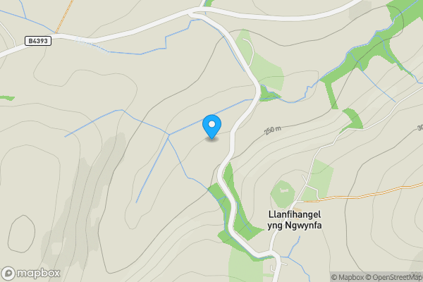 Map location for Bwthyn Rhyddid, Llanfihangel, Llanfyllin, Powys, SY22 5JD