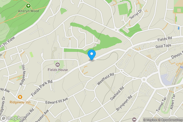 Map location for Fields Park Road, Newport, Gwent, NP20 5BB