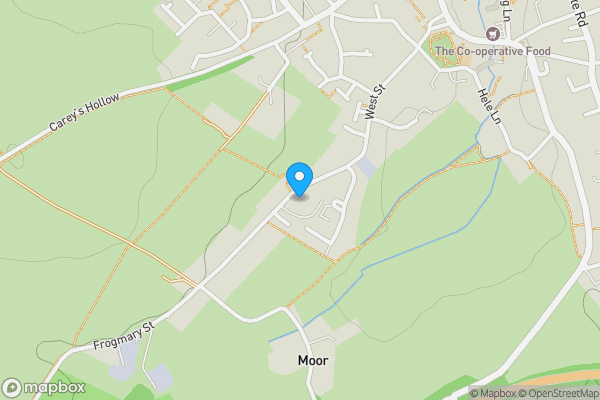 Map location for Broadmead, South Petherton, Somerset, TA13 5DL