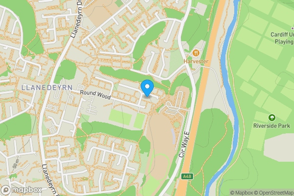 Map location for 119 and 119A Round Wood, Llanedeyrn, Cardiff, CF239PJ