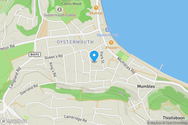 Windsor Place, Swansea, SA3 4LG