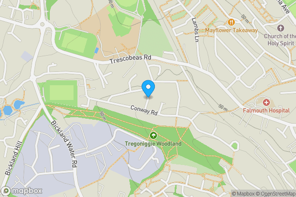 Map location for Springfield Road, Falmouth, Cornwall, TR11 4LG