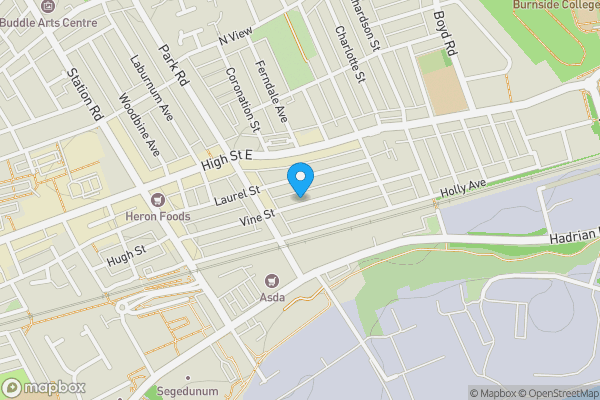Map location for 99 Vine Street, Wallsend, Tyne And Wear, NE28 6JB