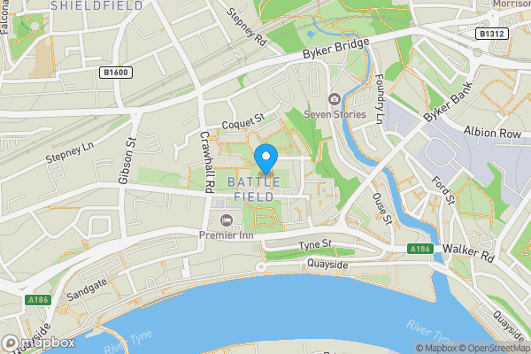 214 St. Ann's Close, Newcastle upon Tyne, Tyne and Wear, NE1 2QS