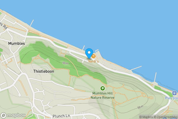 Map location for 738 Mumbles Road, Swansea, SA3 4EL