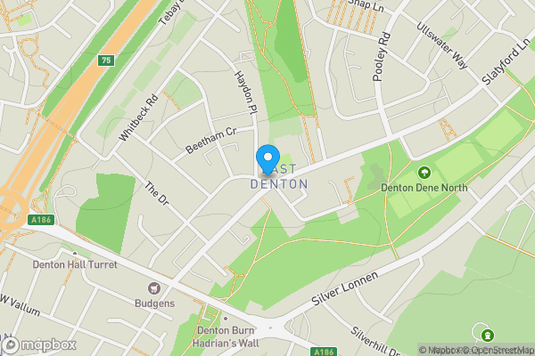 41 Ashleigh Road, Newcastle upon Tyne, Tyne and Wear, NE5 2AB