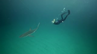 proWIN Magazin Februar 2015