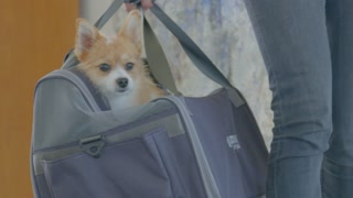 best friends Traveller Bag