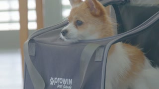 best friends Traveller Bag IT