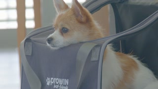 best friends Traveller Bag