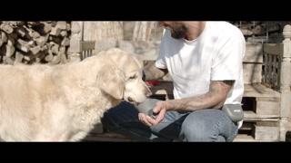 Trainee Bag + Hundetrinkflasche