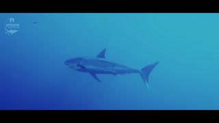 proWIN pro nature – il film d'immagine per la fondazione