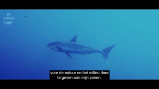 proWIN pro nature - de image-film van de stichting