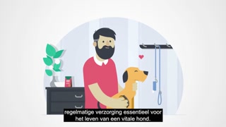 proWIN best friends vachtverzorging