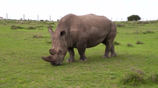 proWIN Magazin, Januar 2017 Teil 2