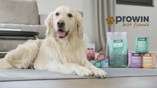 proWIN Magazin - best friends Sondersendung