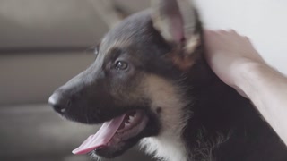 Making of - best friends Katalog