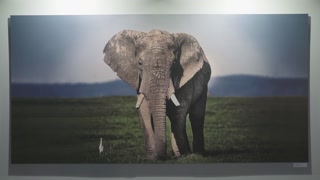 proWIN Magazin, Juni 2017 Lebenswelten