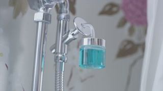 proWIN Wellness BOWL