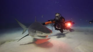 Ingolfs "Hailights" 2017