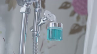 proWIN Wellness BOWL