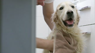 proWIN Best Friends – Weihnachtsshopping 2018