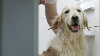 proWIN Best Friends – Shopping de Noël 2018