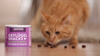 best friends SNACK VOLAILLE