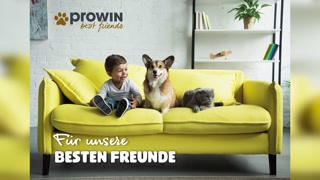 Making of - best friends Katalog