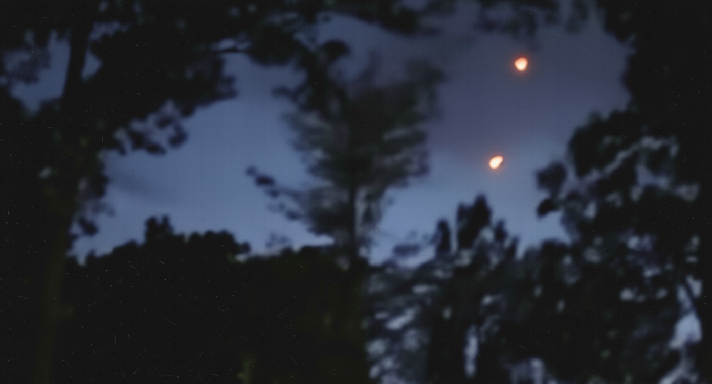 Avi Loeb on mysterious orbs and fireballs