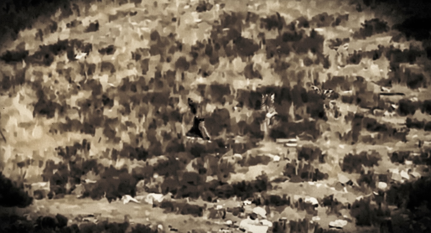 Article explores Bigfoot death curse warnings and a reported Colorado sighting
