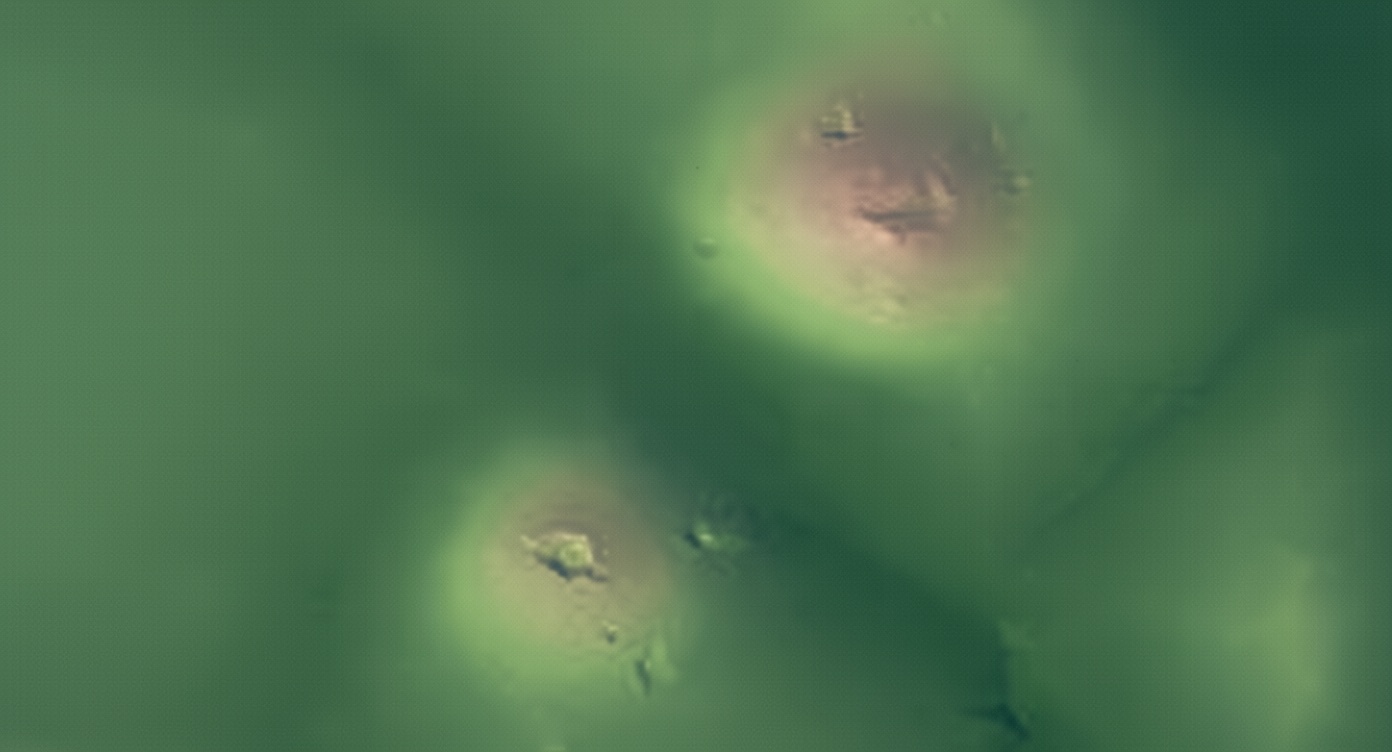 Archaeological mounds in the Deep South predate Egypt’s Great Pyramid
