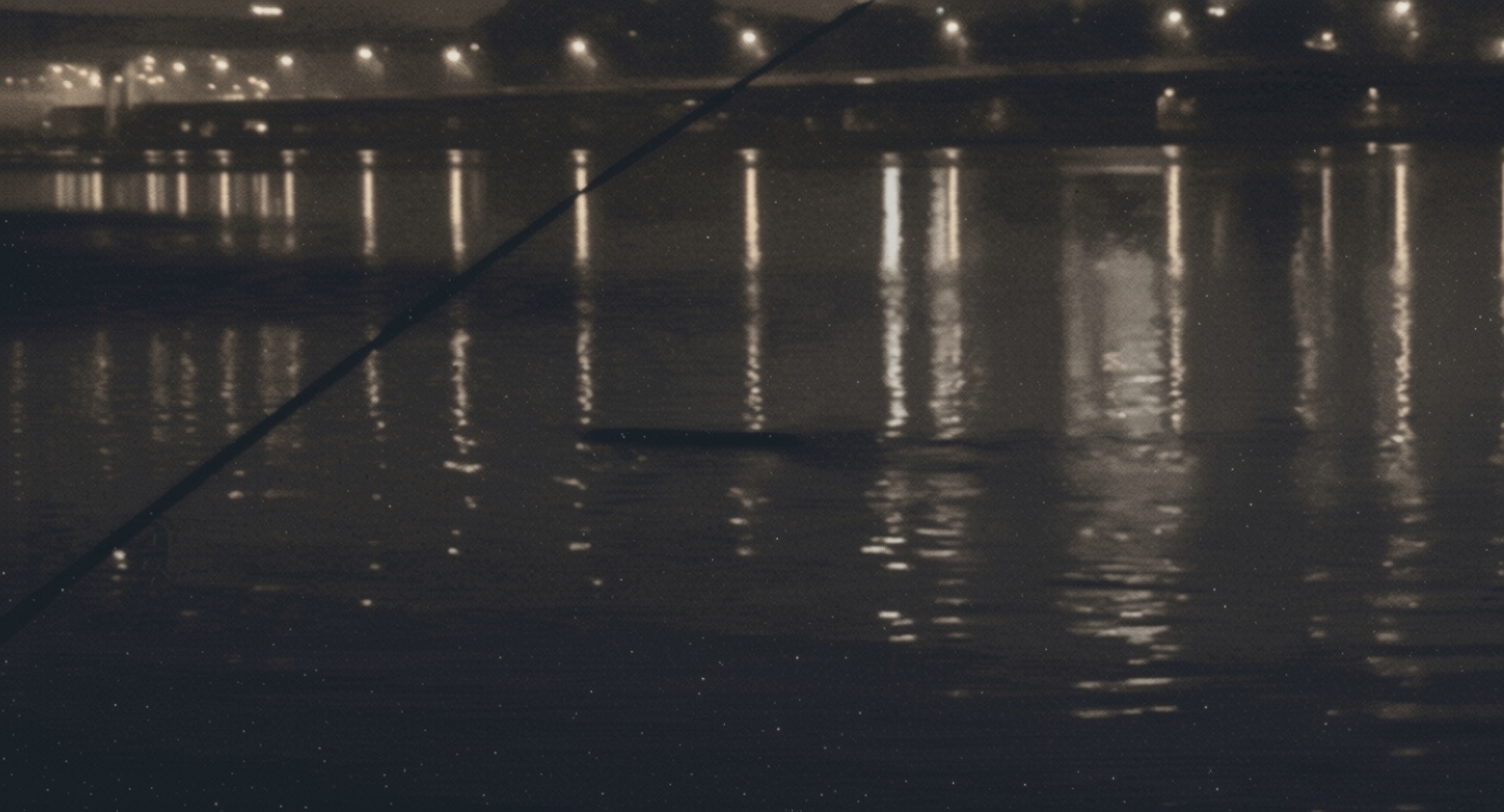 Reddit user reports seeing unidentified object on South Korea's Han River live cam