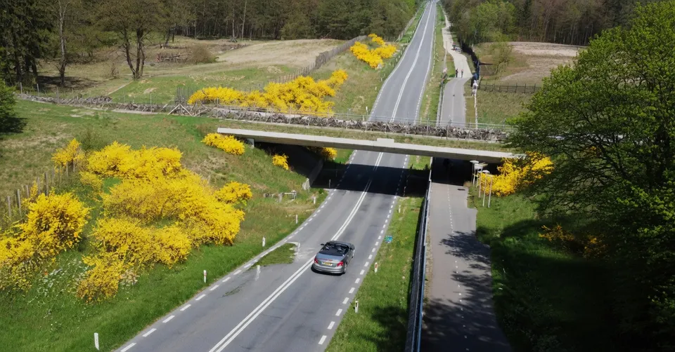 Ecoduct bij Nationaal Park De Hoge Veluwe waar wilde dieren de weg veilig kunnen oversteken