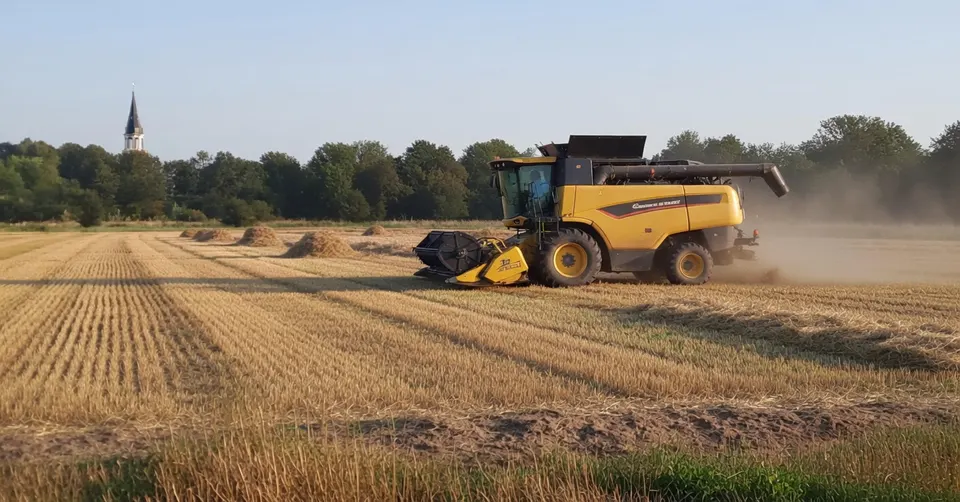 Combine oogst tarwe op een Groningse akker, waar de graanoogst dit jaar uitzonderlijk vroeg is begonnen