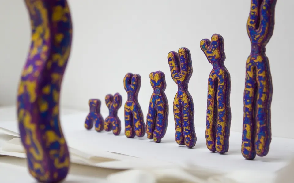 Figuren van mensachtigen verbeelden de onbekende menselijke lijn die sporen naliet in ons DNA