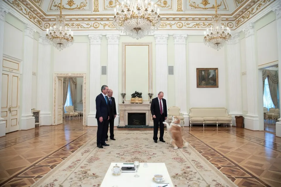Vladimir Poetin ontvangt een delegatie in een rijk gedecoreerde zaal