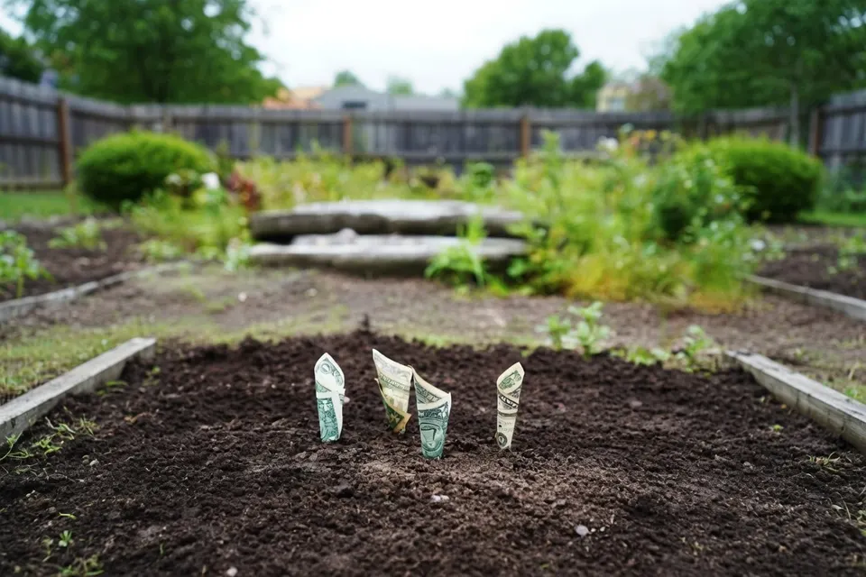 Beleggingszakjes in een moestuin verbeelden de groeiende beleggingen van Nederlandse huishoudens