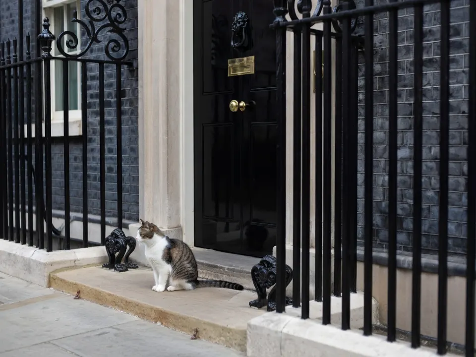 Katten voor Downing Street 10, het werkadres van de Britse premier