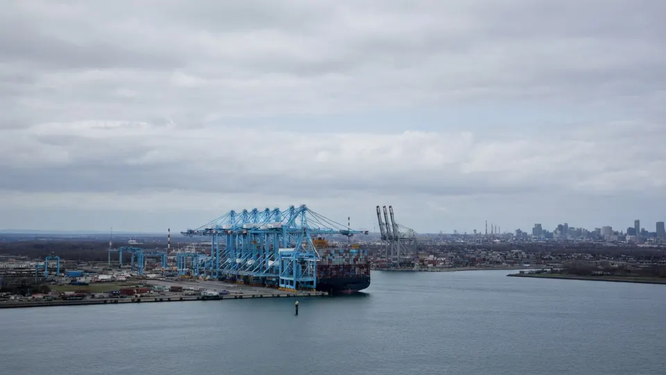 Containerhaven met laadkranen en containerschepen aan het water