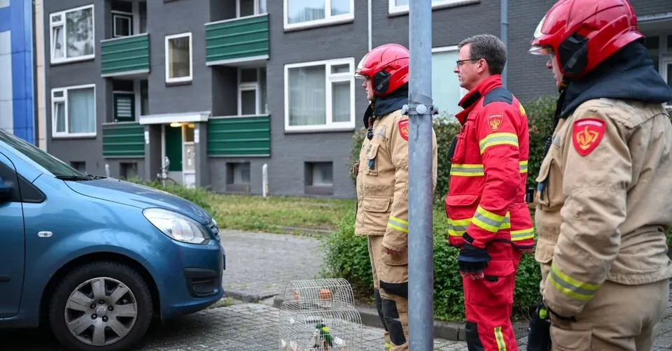 Brandweerlieden staan bij een flat aan de Reviusstraat in Hoogezand