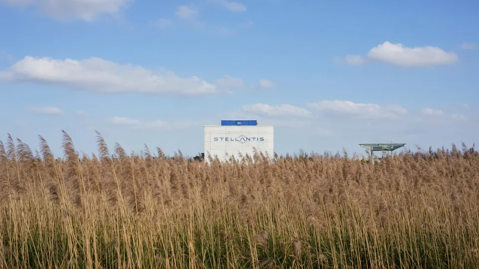 Het Stellantis-logo is zichtbaar achter een rietveld
