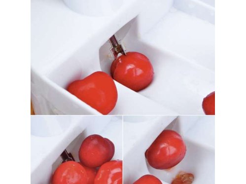 DRYLOWNICA DO WIŚNI 25x20x10CM