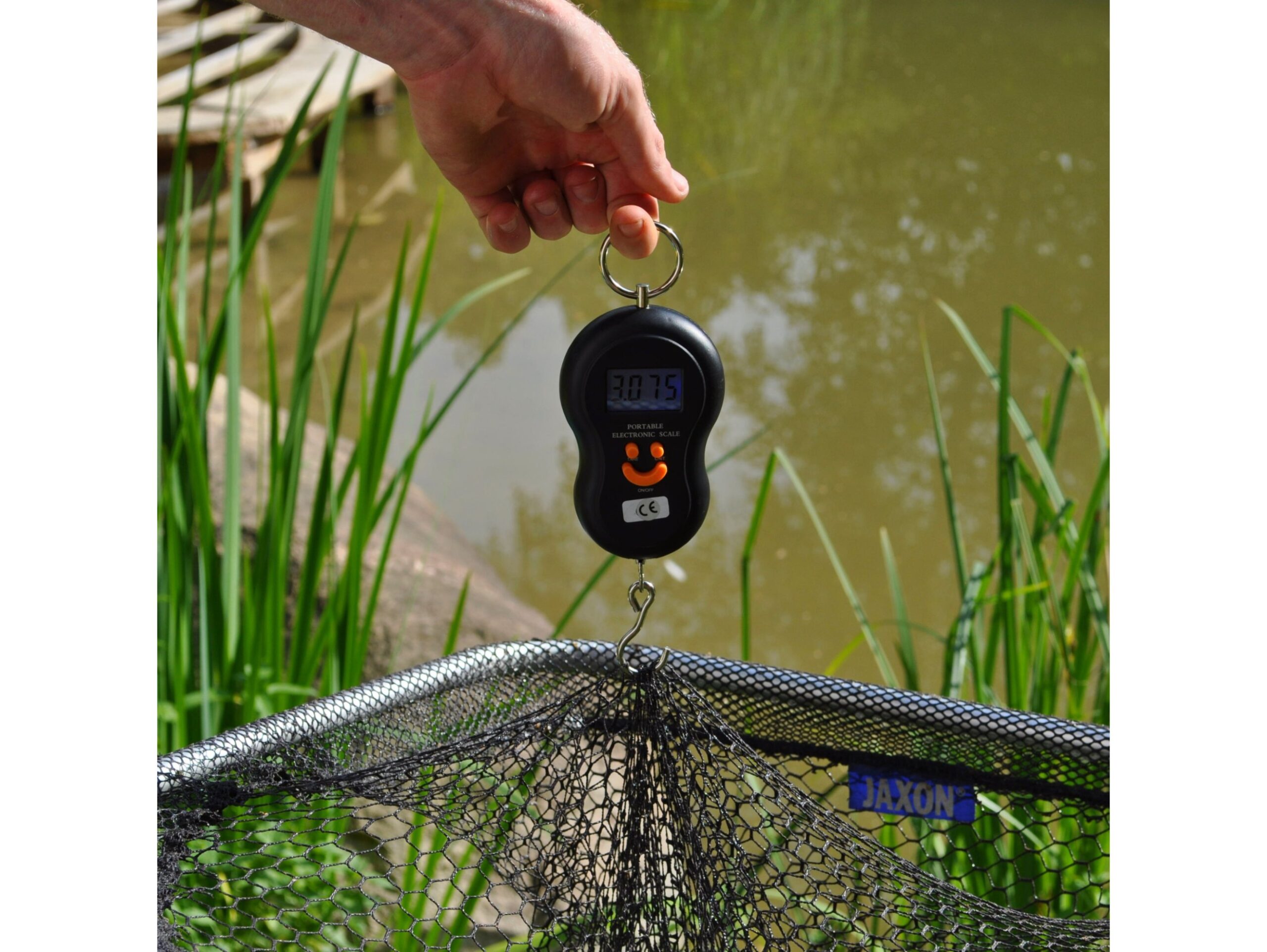 WAGA HAKOWA BAGAŻ, RYBY LCD - czarny - bez baterii