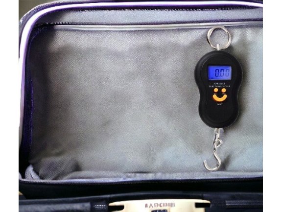 WAGA HAKOWA BAGAŻ, RYBY LCD - czarny - bez baterii