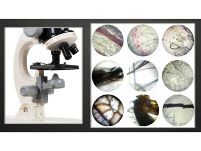 MIKROSKOP EDUKACYJNY