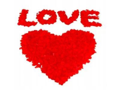 PŁATKI RÓŻ DO DEKORACJI 1000SZT CZERWONE