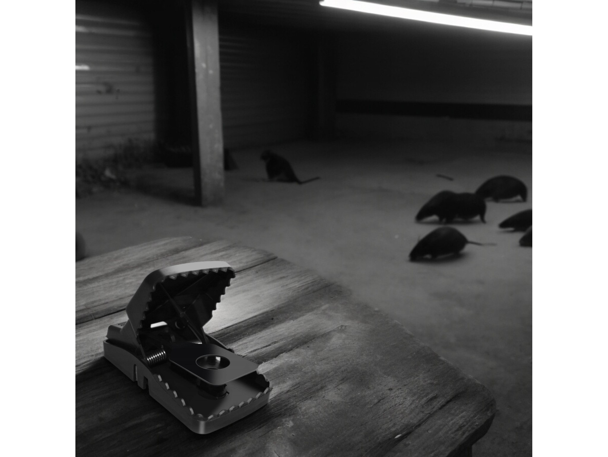 PUŁAPKA ŁAPKA NA MYSZY PLASTIKOWA SKUTECZNA MOCNA