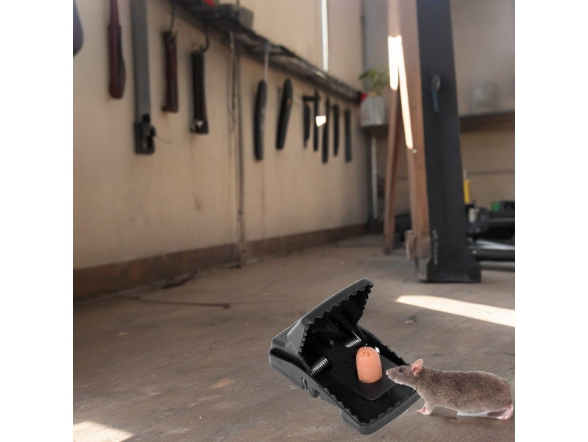 PUŁAPKA ŁAPKA NA MYSZY PLASTIKOWA SKUTECZNA MOCNA