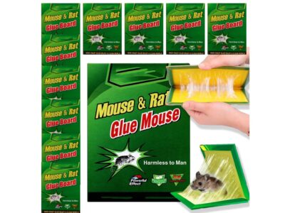 PUŁAPKA NA MYSZY LEP 24x17 10SZT